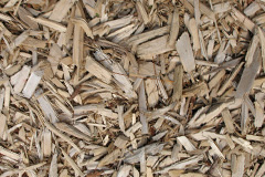 biomass boilers Ruthvoes